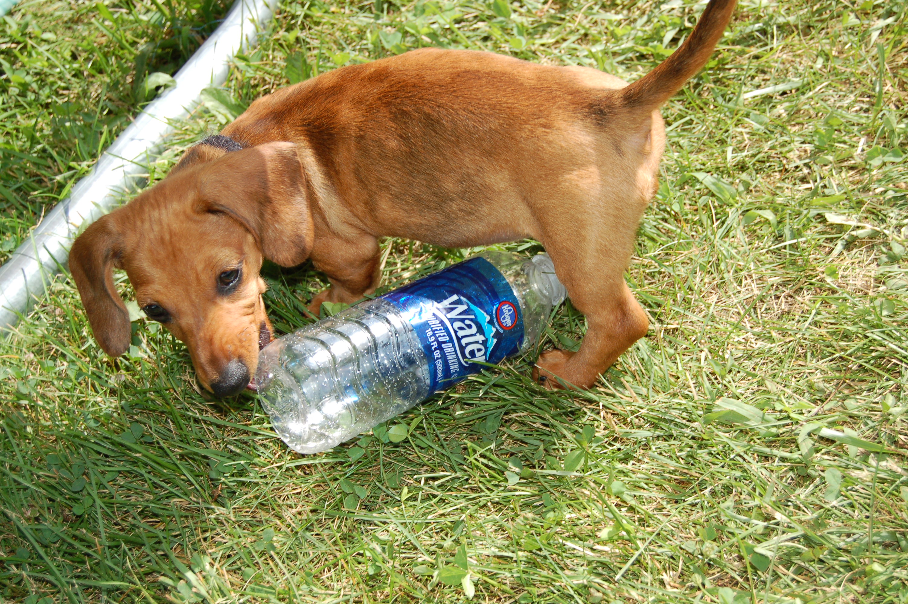 Who knew a water bottle could be so much fun